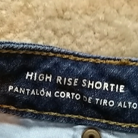High Rise Universal Thread Shorts - Picture 4 of 4